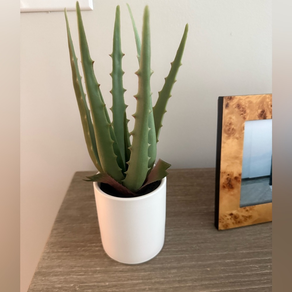 Faux Small Cactus Succulent